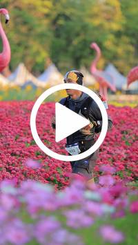 BIB:  <button type="button" onclick="openModal(27583034)" class="btn btn-primary btn-sm float-right" data-toggle="modal" data-target=".modal-high-quality">
                <i class="fa fa-download"></i> Download
                </button>